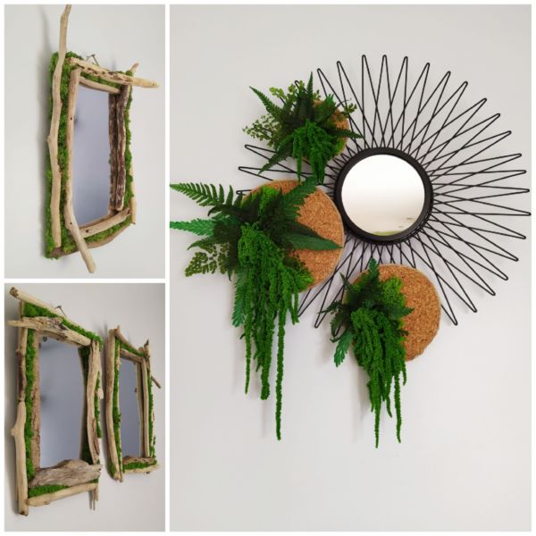 <strong>miroirs végétalisés</strong> <em></em><br /></p><p>