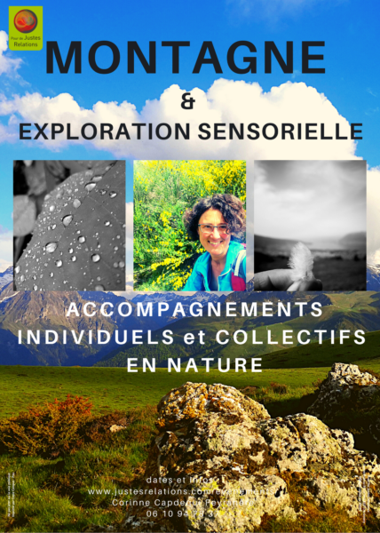 <strong>Montagne et exploration sensorielle</strong> <em></em><br /></p><p>